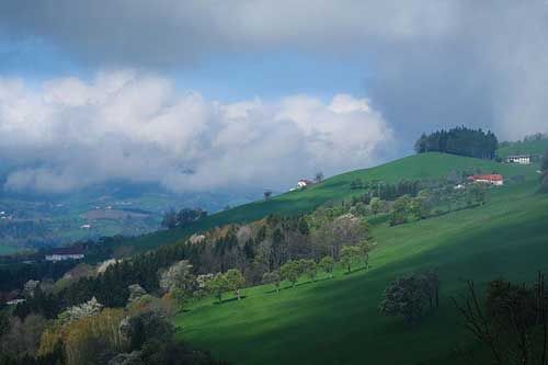 感恩教练的付出的话语