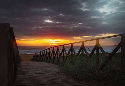 感恩他人的句子