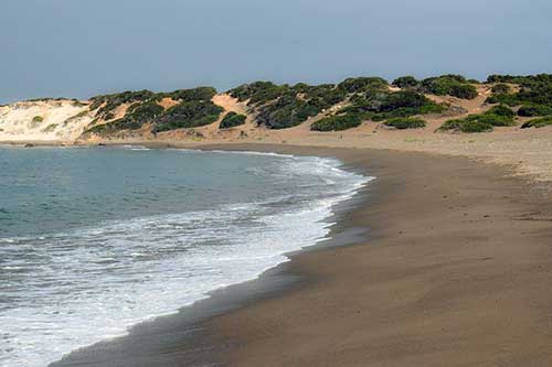 表达感谢顾客的一句话